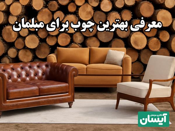 بهترین چوب برای مبلمان🪵 | همه چیز درباره انواع چوب مبل🎯 + نکات مهم
